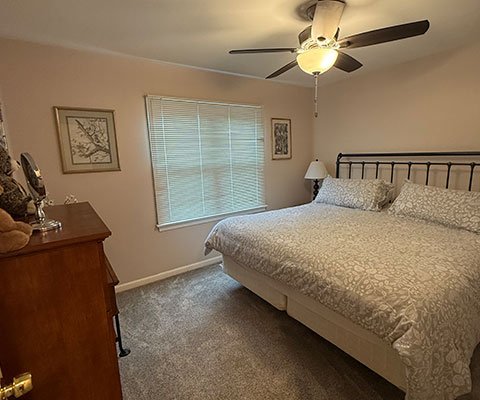 Professional Cleaning Services